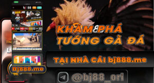 đá gà bj88