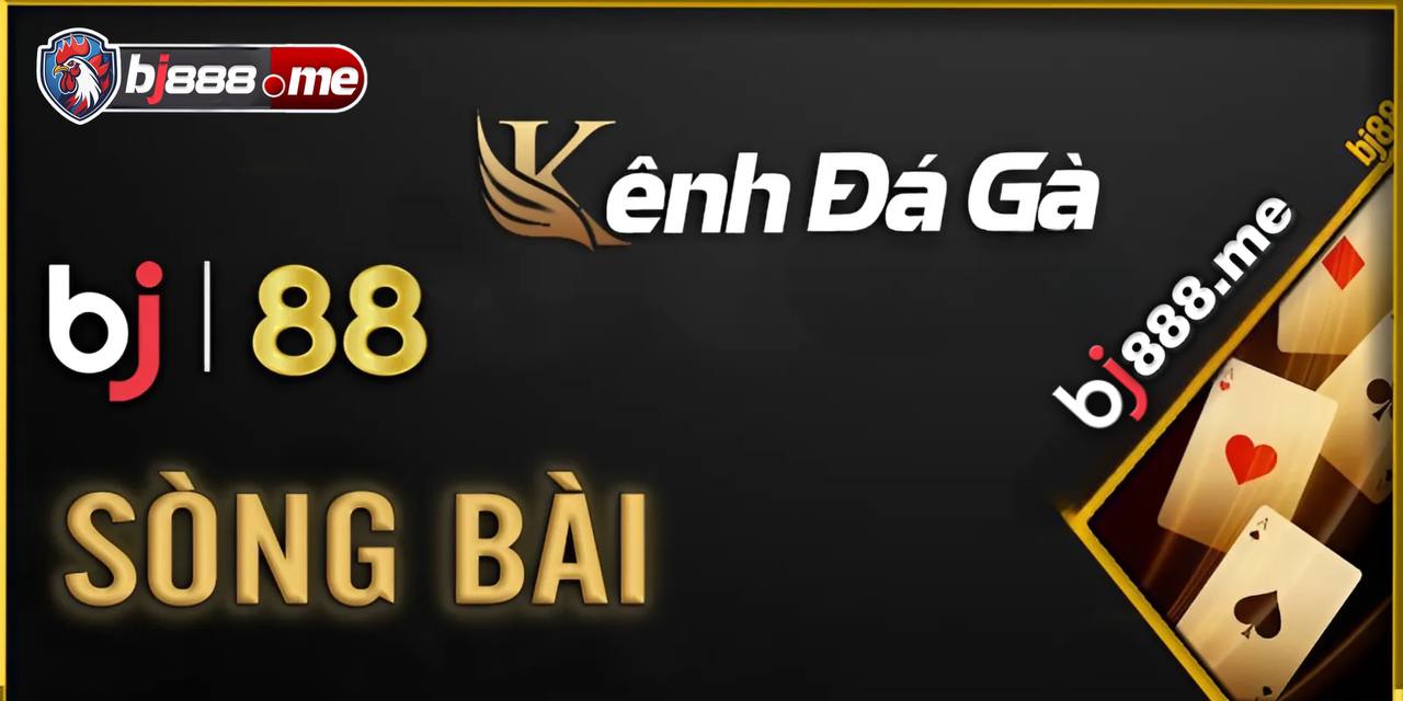 đá gà thomo bj888