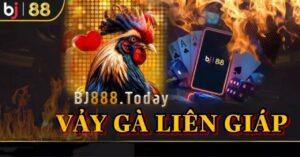 Vảy gà liên giáp