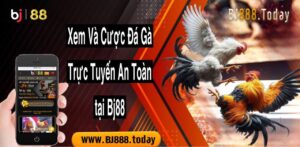 xem và cược đá gà trực tuyến an toàn