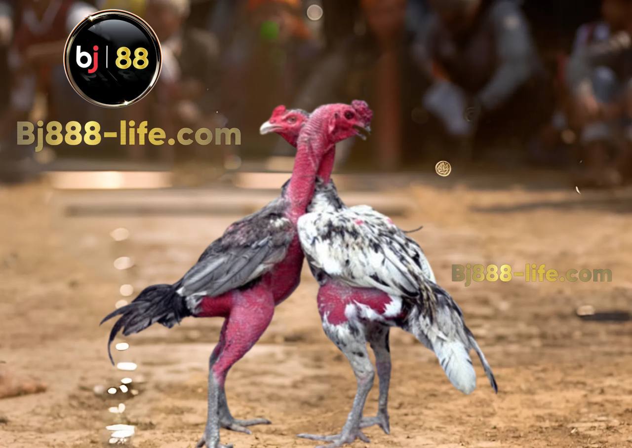 Lối đá ôm đấm 