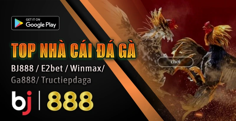 TOP 5 NHÀ CÁI ĐÁ GÀ HOT NHẤT 2025