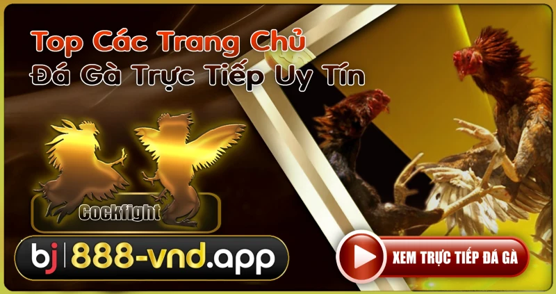 Top Các Trang Chủ Phát Đá Gà Trực Tiếp Uy Tín Theo Thống Kê Google [nguồn: BJ888 VND]